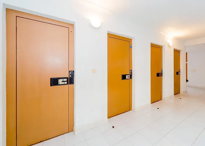 Alegria Ed. Gases Torrevieja